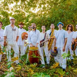 Jungle Fire Photo