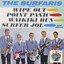 The Surfaris Play cover