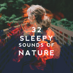 32 Sleepy Sounds of Nature album