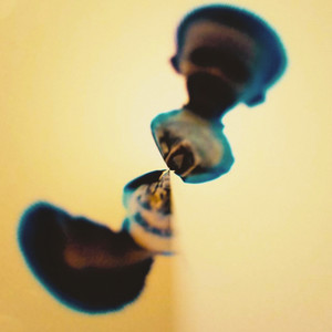 JAAA! Photo