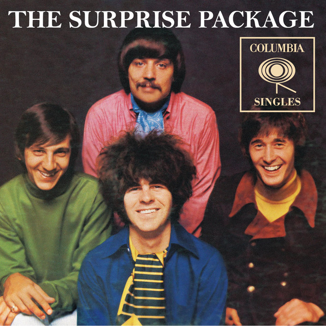 The Surprise Package Photo