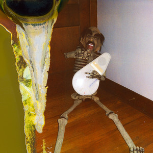 The Allegheny White Fish Tapes album
