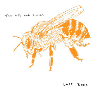 Lost Bees cover