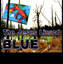 Blue cover
