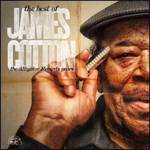The Best Of James Cotton - The Alligator Records Years album