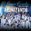 Alunizando cover