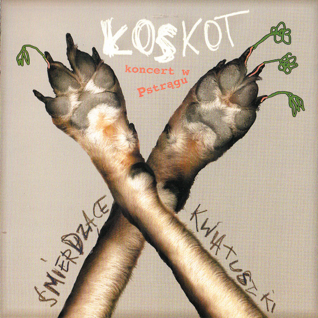 Łoskot Photo