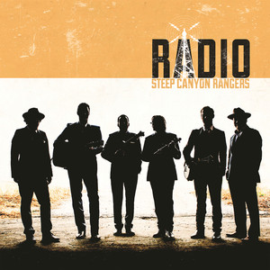 Radio cover