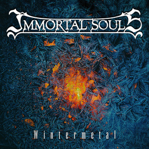 Wintermetal cover