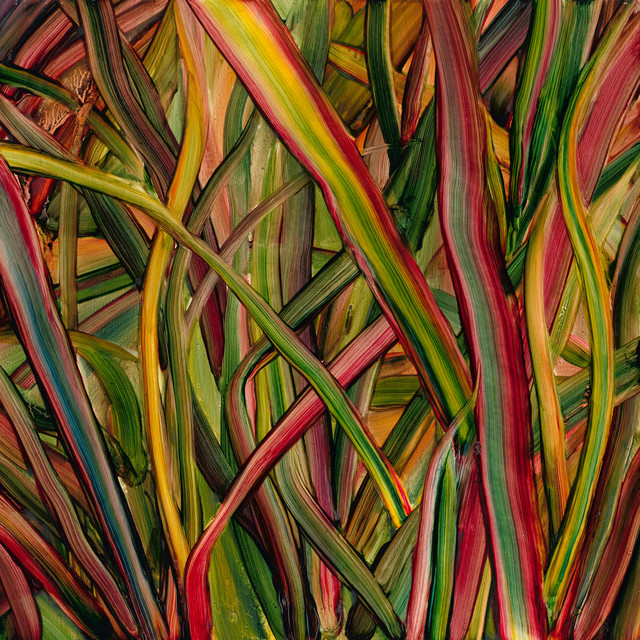 Where Wildness Grows cover