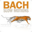 Bach Slow Motions cover
