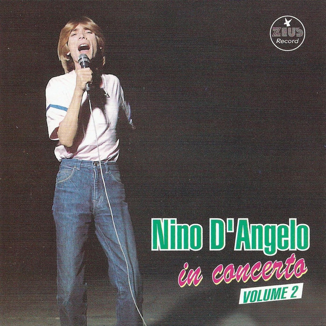 Nino D'Angelo in concerto, vol. 2 (The Best of Nino D'Angelo Live Collection) Albumcover