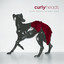 Ruby Dress Skinny Dog Albumcover