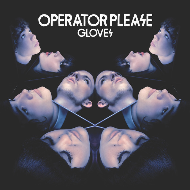 Gloves cover