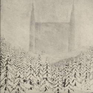 Die Festung cover