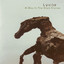 A Day in the Stark Corner cover