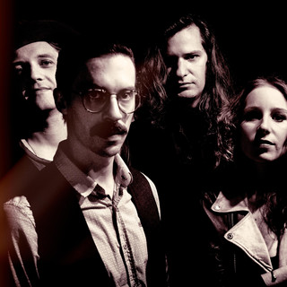 Parlor Snakes photo