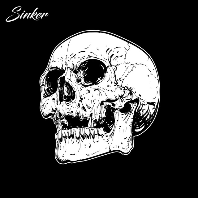 Sinker Photo