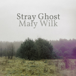 Mały Wilk cover