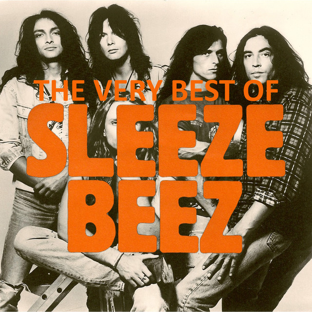 The Very Best Of Sleeze Beez cover