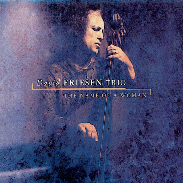 David Friesen Trio Photo