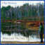 Wherever You Are Albumcover