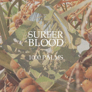 1000 Palms album