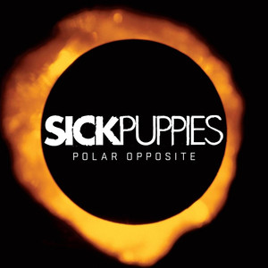 Polar Opposite album