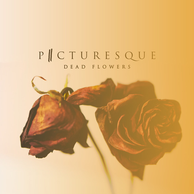 Dead Flowers cover