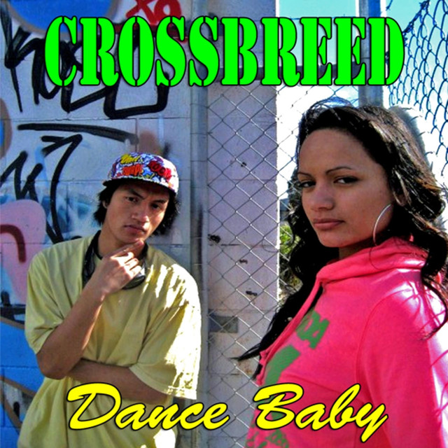 Crossbreed photo