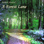 A Forest Lane Albumcover