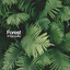 Forest of Tranquility cover