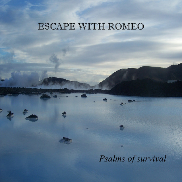 Psalms Of Survival cover