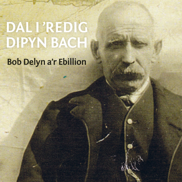Bob Delyn a’r Ebillion Photo