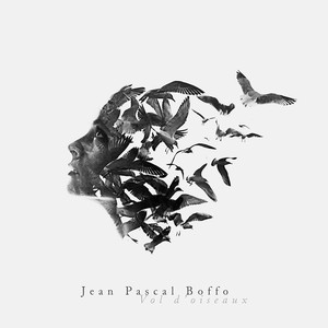 Vol d'oiseaux cover