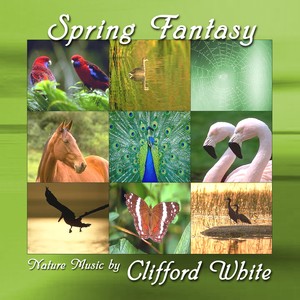 Spring Fantasy Albumcover