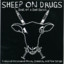 Best of a Bad Bunch cover