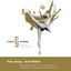 New Ballet Music 9 - 