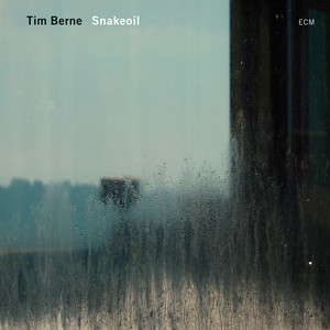 Snakeoil album
