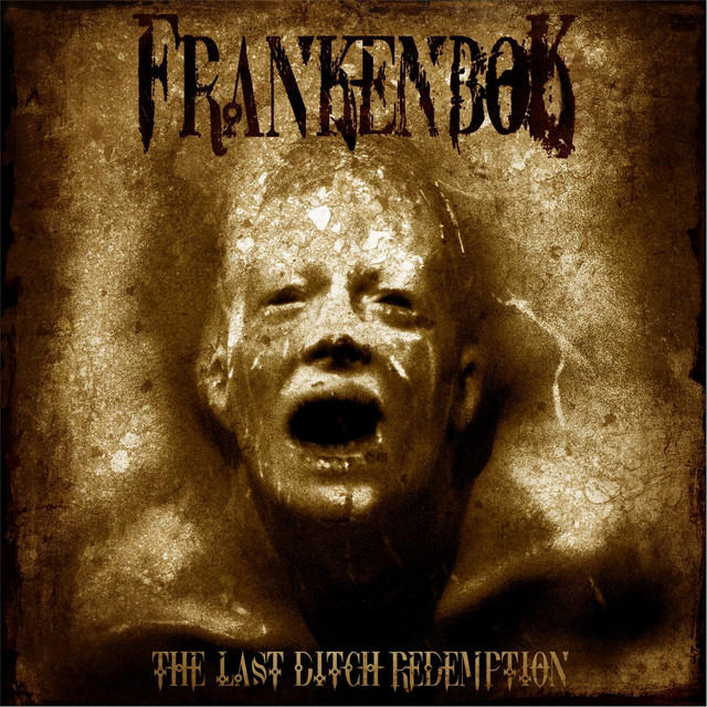 The Last Ditch Redemption cover