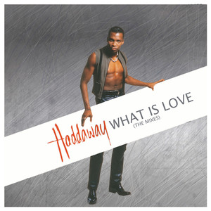 What Is Love (The Mixes) album