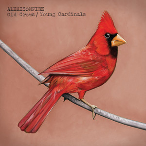 Old Crows / Young Cardinals album