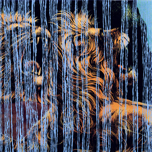 Lines cover