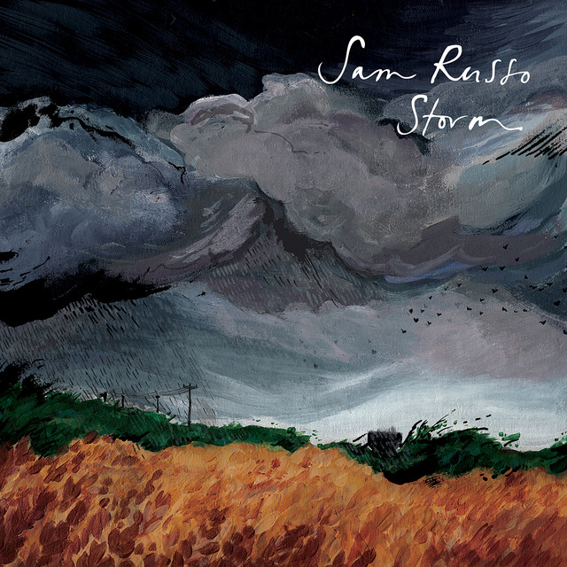 Storm cover