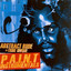 P.A.I.N.T. Instrumentals cover