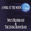A Wink At The Moon Albumcover