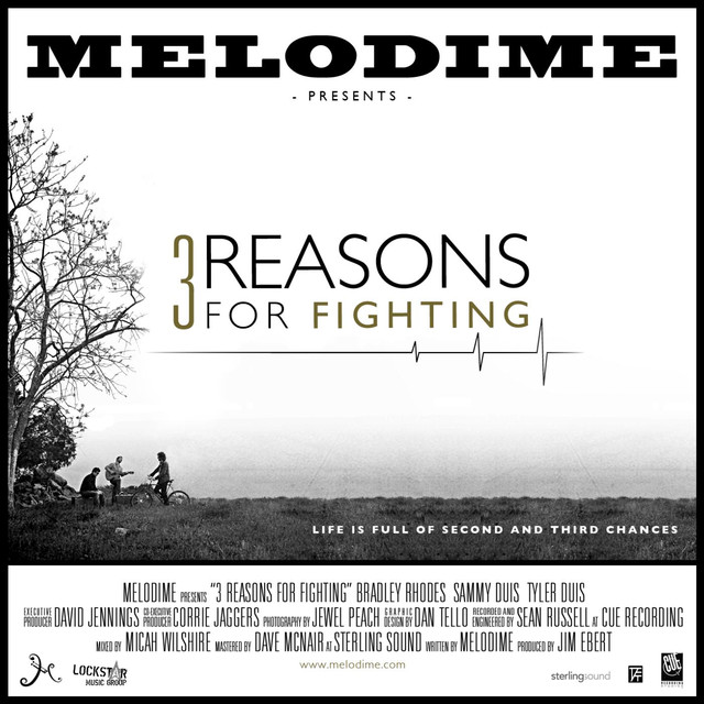 3 Reasons For Fighting cover