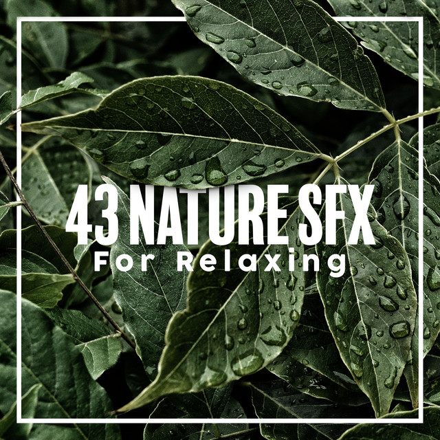 43 Nature SFX For Relaxing
