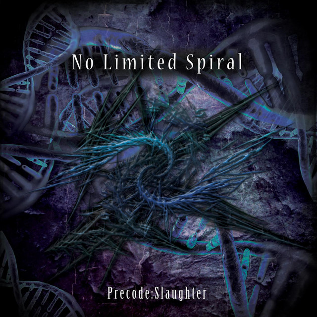 No Limited Spiral Photo