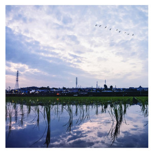 sunset cover